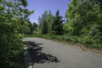 Canadian Landscape in Ontario: Lush Green