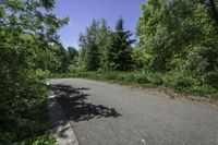 Canadian Landscape in Ontario: Lush Green