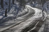 the road is covered with fresh snow as it's about to pass through the woods