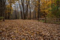 Canadian Landscape in Ontario: Discovering the Wonders of Nature