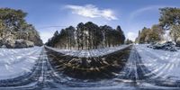 a picture taken with a fisheye lens of the road and trees in the background