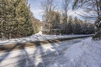 A Canadian Landscape in Ontario: Snowy Forest