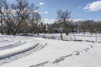 Canadian Landscape in Ontario: Winter Scenery