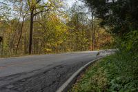 Canadian Landscape: Road Tree Forest 001