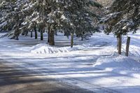 a snow covered country road with pine trees and a bench in front of the road