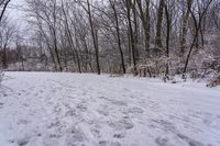 a person riding a ski board on a snow covered trail, on some trees and bushes