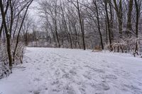 a person riding a ski board on a snow covered trail, on some trees and bushes