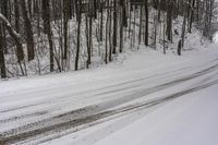 Canadian Landscape: Snow Covered Trees 001