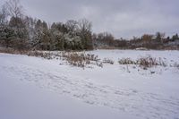 the snow is covering the ground in the field near the trees on a grey cloudy day