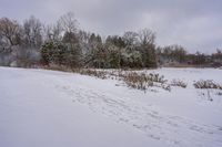 the snow is covering the ground in the field near the trees on a grey cloudy day