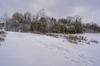 the snow is covering the ground in the field near the trees on a grey cloudy day