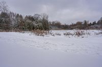 the snow is covering the ground in the field near the trees on a grey cloudy day