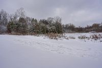 the snow is covering the ground in the field near the trees on a grey cloudy day