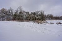 the snow is covering the ground in the field near the trees on a grey cloudy day