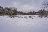 the snow is covering the ground in the field near the trees on a grey cloudy day