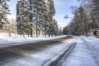 a snow covered road lined with trees next to some bushes and snowy ground is under blue sky