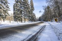 a snow covered road lined with trees next to some bushes and snowy ground is under blue sky