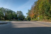 Canadian Landscape: A Straight Road in Toronto's Suburbs