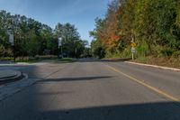 Canadian Landscape: A Straight Road in Toronto's Suburbs