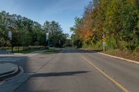 Canadian Landscape: A Straight Road in Toronto's Suburbs