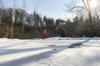 Canadian Landscape: Toronto Asphalt Road and Forest