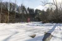 Canadian Landscape in Toronto Forest