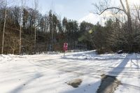 Canadian Landscape in Toronto Forest