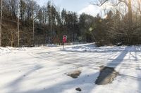 Canadian Landscape in Toronto Forest