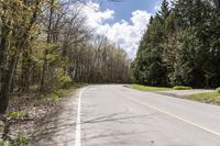 Canadian Landscape: Tree-Covered Path