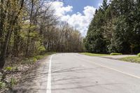 Canadian Landscape: Tree-Covered Path