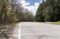 Canadian Landscape: Tree-Covered Path