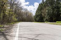 Canadian Landscape: Tree-Covered Path