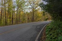 Canadian Landscape: Trees in the Forest