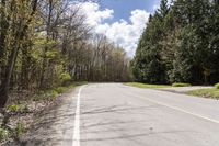 Canadian Landscape: Vegetation in Toronto