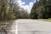 Canadian Landscape: Vegetation in Toronto