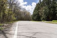 Canadian Landscape: Vegetation in Toronto