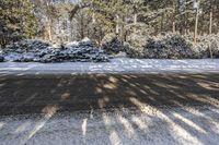 Canadian Landscape in Winter: Snowy Forest