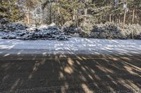 Canadian Landscape in Winter: Snowy Forest