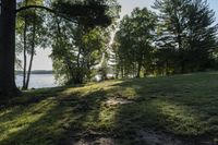 Canadian Landscape: Woody Plants and Tree Shadows