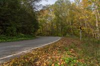 an empty, empty country road with yellow leaves on the ground and on the trees