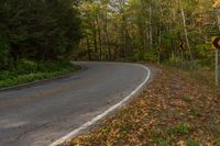 an empty, empty country road with yellow leaves on the ground and on the trees