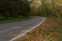 an empty, empty country road with yellow leaves on the ground and on the trees