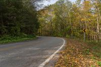 an empty, empty country road with yellow leaves on the ground and on the trees