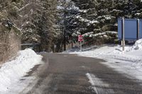 Canadian Nature: Clear Sky and Snowy Road