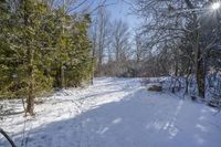 a snowy path leads to a small wooded area with bare trees in the background and snow on ground