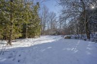 a snowy path leads to a small wooded area with bare trees in the background and snow on ground