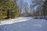 a snowy path leads to a small wooded area with bare trees in the background and snow on ground