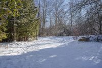 a snowy path leads to a small wooded area with bare trees in the background and snow on ground