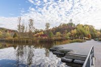 a dock sitting on the side of a lake surrounded by fall trees and a path