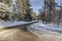 Canadian Nature Scene: Toronto Snowy Road